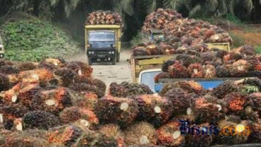 Pemerintah China Borong 2,5 Juta Ton Produk CPO dari Indonesia Senilai US$2,6 Miliar